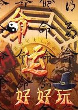 石家庄网站优化体验服务